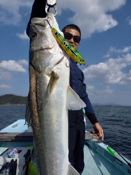 アマテラス 釣果