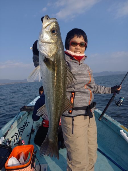 アマテラス 釣果