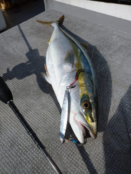 ありもと丸 釣果