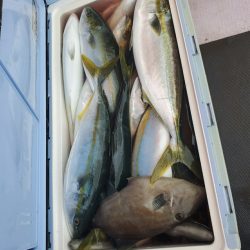 海龍丸(石川) 釣果