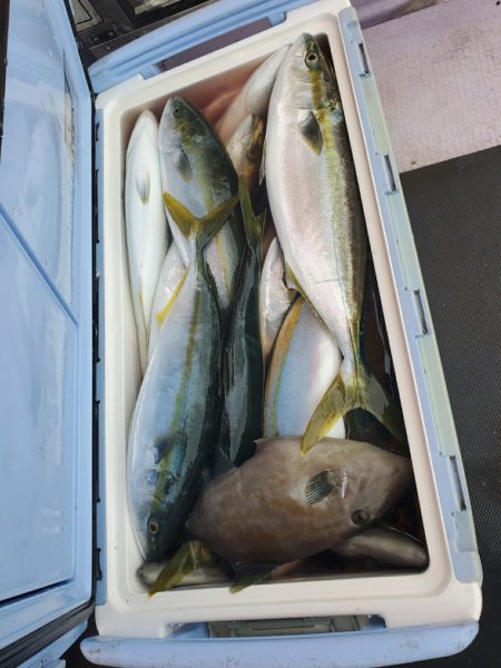 海龍丸(石川) 釣果