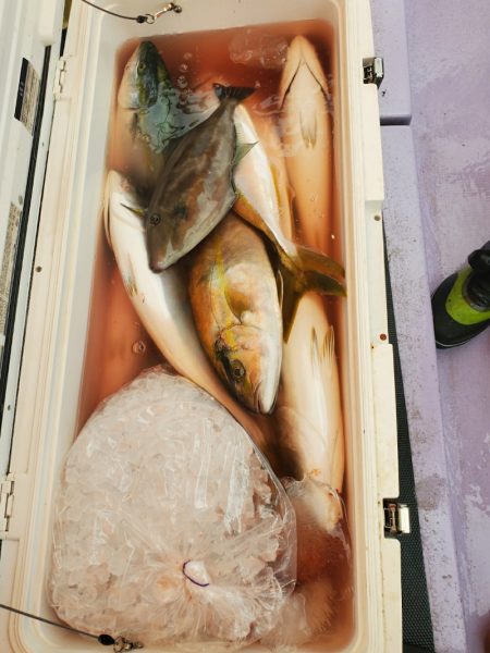 海龍丸(石川) 釣果