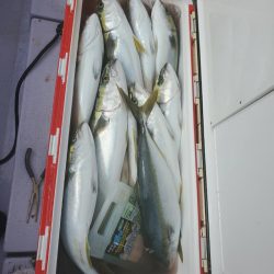 海龍丸（石川） 釣果