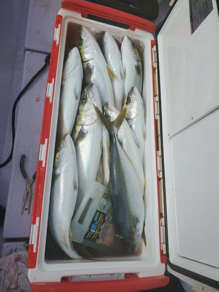 海龍丸（石川） 釣果