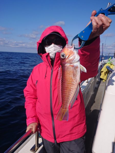 ARCADIAⅡ (アルカディアⅡ) 釣果