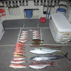 ARCADIAⅡ (アルカディアⅡ) 釣果