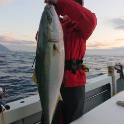 エンペラー 釣果