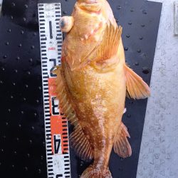 第二龍勢丸 釣果