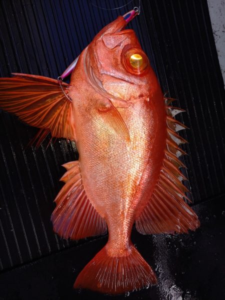 第二龍勢丸 釣果