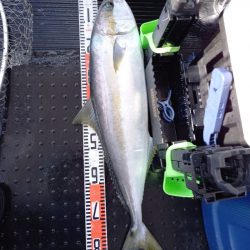 第二龍勢丸 釣果