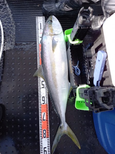 第二龍勢丸 釣果