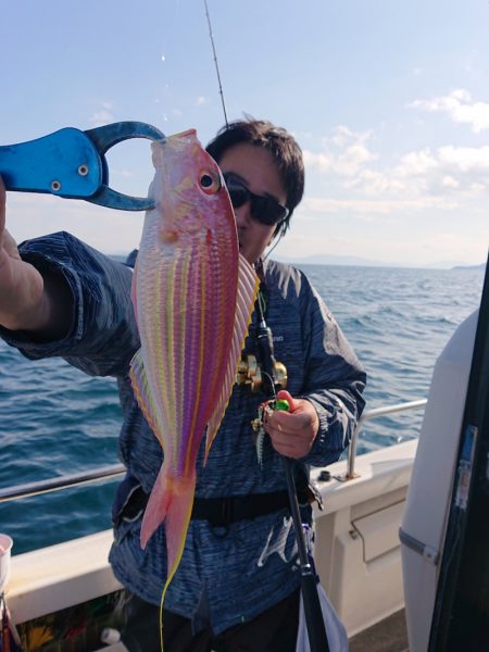 ARCADIAⅡ (アルカディアⅡ) 釣果