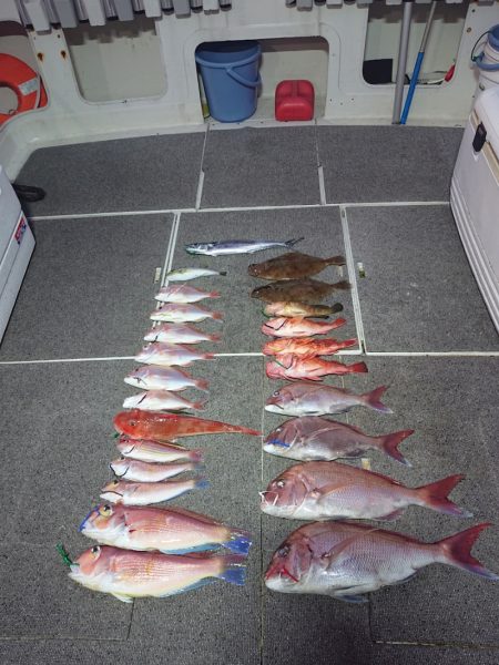 ARCADIAⅡ (アルカディアⅡ) 釣果