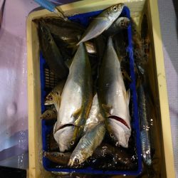 海龍丸（石川） 釣果