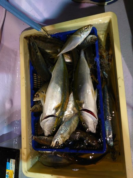 海龍丸（石川） 釣果