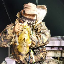 海龍丸（石川） 釣果