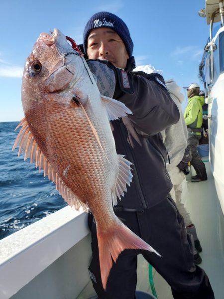 シーライオン 釣果