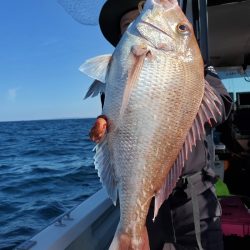 シーライオン 釣果