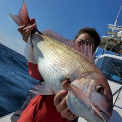 シーライオン 釣果