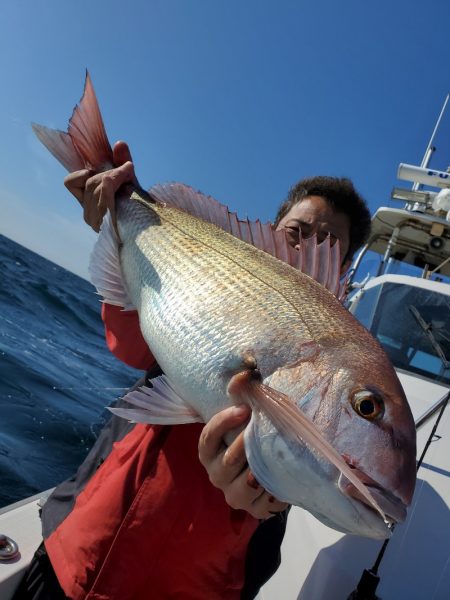 シーライオン 釣果