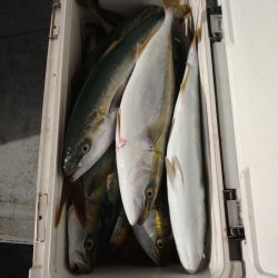 ありもと丸 釣果