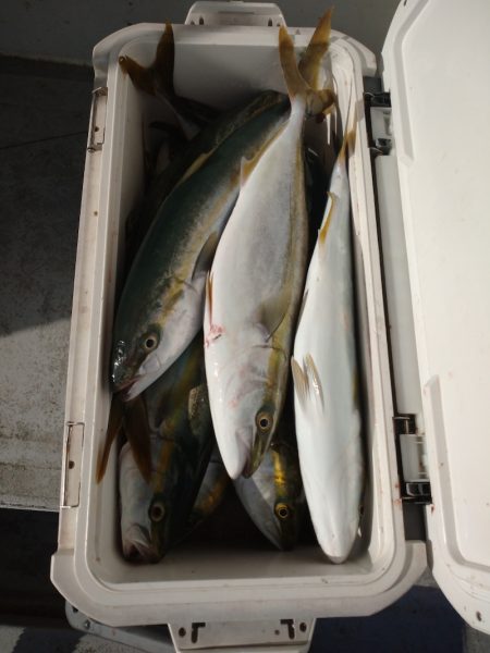 ありもと丸 釣果