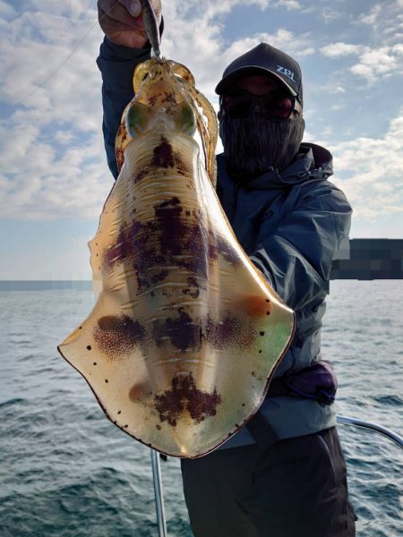 ソルトウォーターガイドフレンズ 釣果