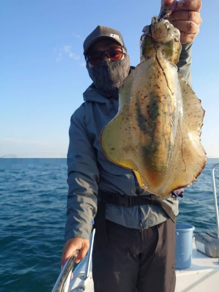 ソルトウォーターガイドフレンズ 釣果