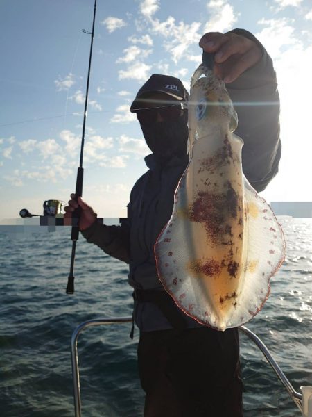 ソルトウォーターガイドフレンズ 釣果