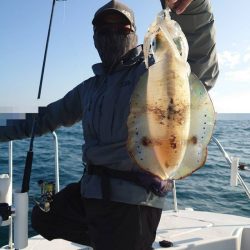 ソルトウォーターガイドフレンズ 釣果