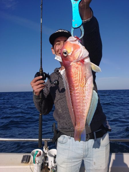 ARCADIAⅡ (アルカディアⅡ) 釣果