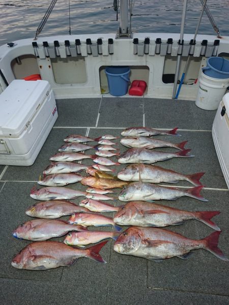 ARCADIAⅡ (アルカディアⅡ) 釣果