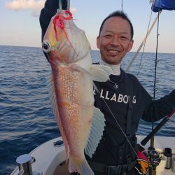 ARCADIAⅡ (アルカディアⅡ) 釣果