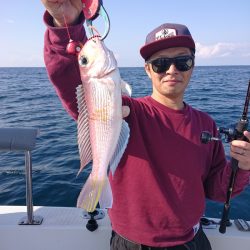 ARCADIAⅡ (アルカディアⅡ) 釣果