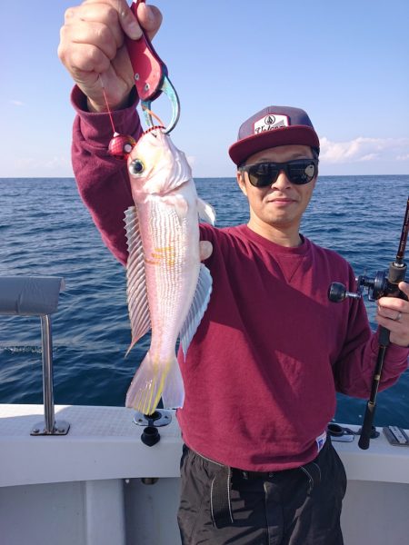 ARCADIAⅡ (アルカディアⅡ) 釣果