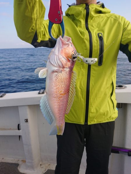 ARCADIAⅡ (アルカディアⅡ) 釣果