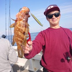 ARCADIAⅡ (アルカディアⅡ) 釣果