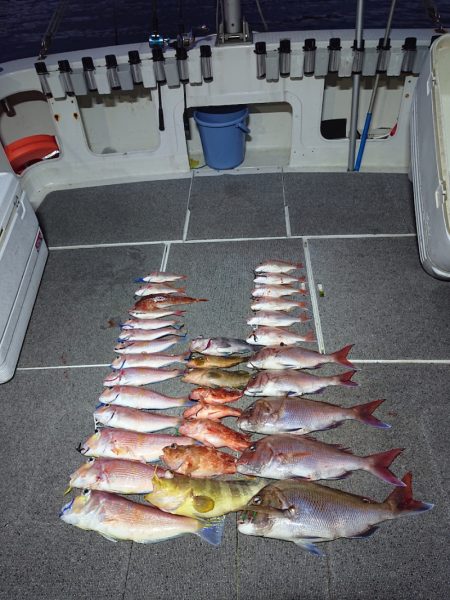 ARCADIAⅡ (アルカディアⅡ) 釣果