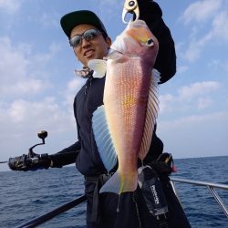 アマテラス 釣果