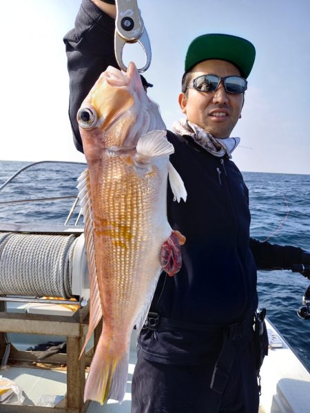 アマテラス 釣果