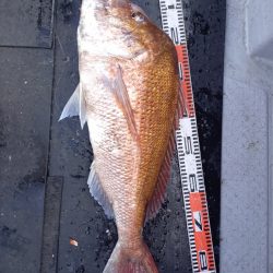 第二龍勢丸 釣果