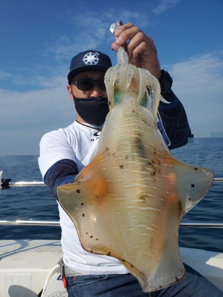 ソルトウォーターガイドフレンズ 釣果