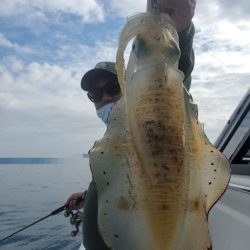 ソルトウォーターガイドフレンズ 釣果