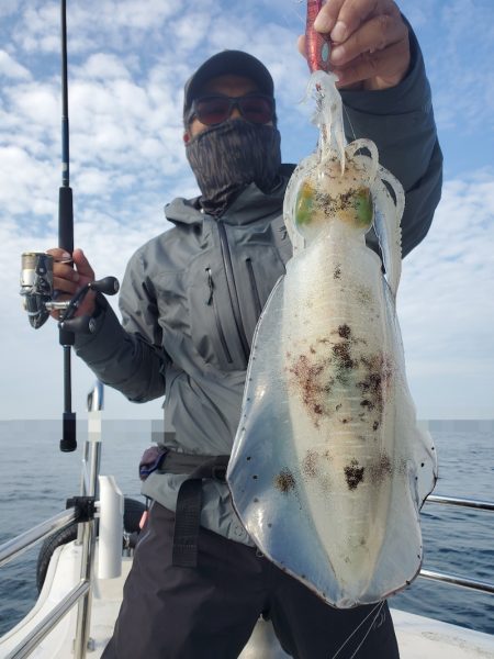 ソルトウォーターガイドフレンズ 釣果