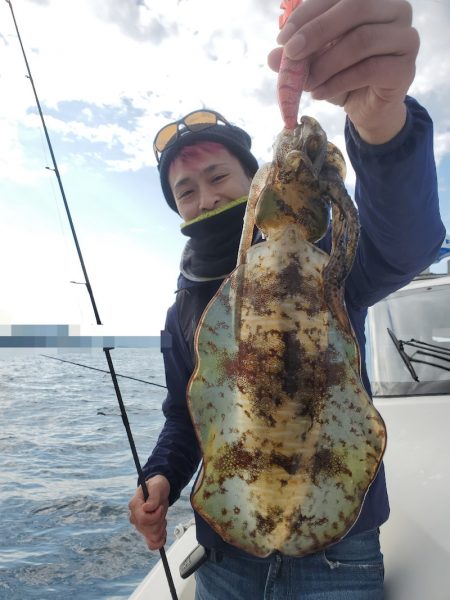 ソルトウォーターガイドフレンズ 釣果