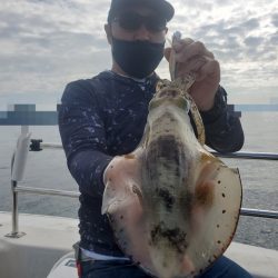 ソルトウォーターガイドフレンズ 釣果