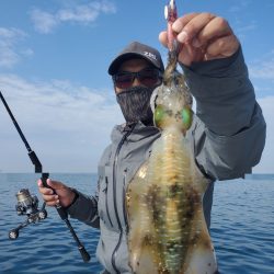 ソルトウォーターガイドフレンズ 釣果