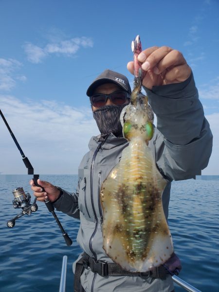 ソルトウォーターガイドフレンズ 釣果