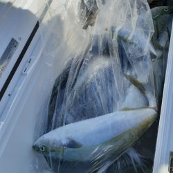 海龍丸（石川） 釣果