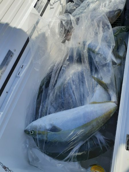 海龍丸（石川） 釣果